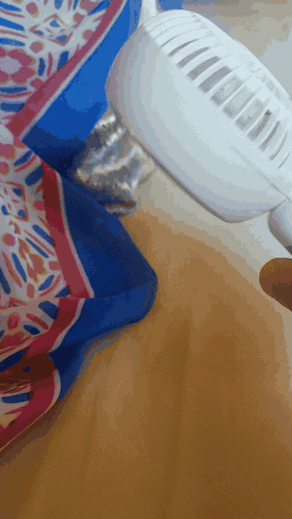 مروحة الجيب